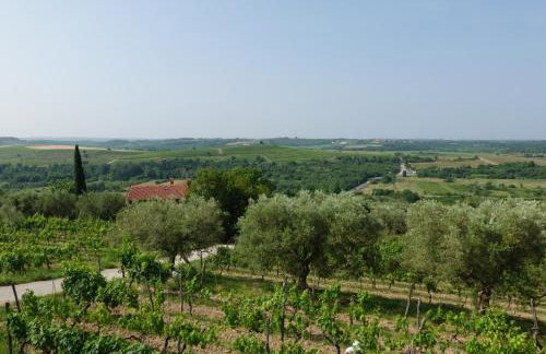 Villa Sofia - Foto 13