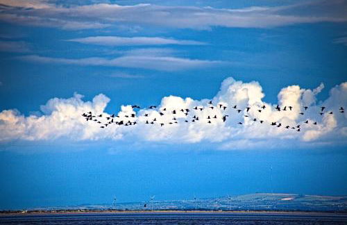 Powillimount Cottage - Foto 35