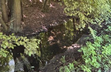 Kleines Ferienhäuschen im Grünen am Wasser - Foto 15