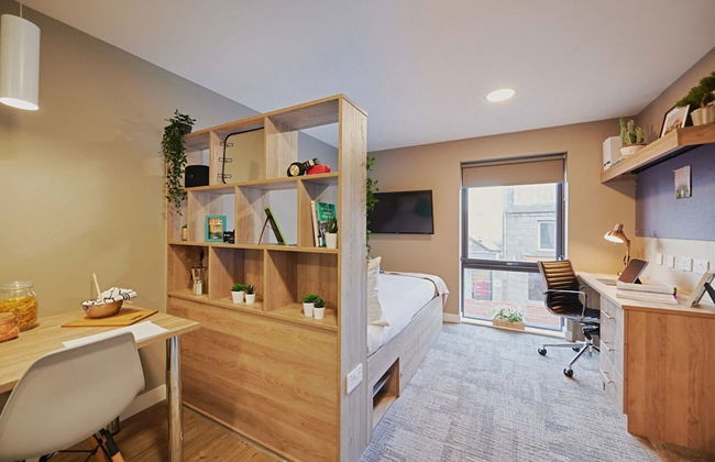 Student Only The Combworks - Foto 7