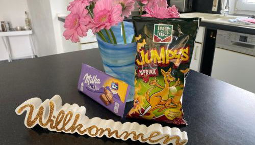 Frankenwaldwohnung - Foto 4