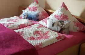 Ferienwohnung Liebscher - Foto 31