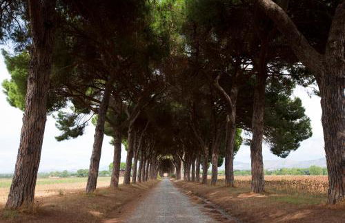 Agriturismo Pantano Borghese - Foto 51