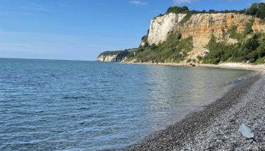 Nutshell Cottage - Foto 1