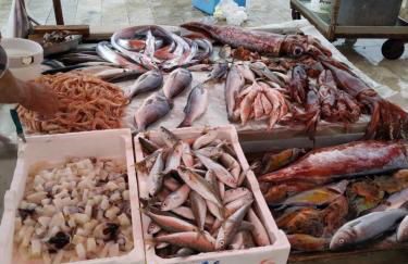 Aspra al delfino blu - Foto 16