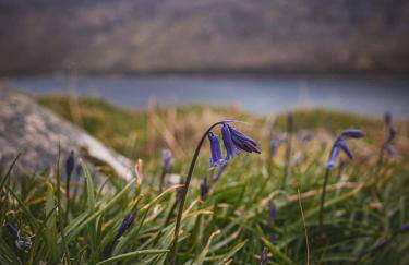 The Lighthouse Cottage - Foto 39