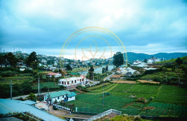 Oniclo By Bedsdo - Foto 15