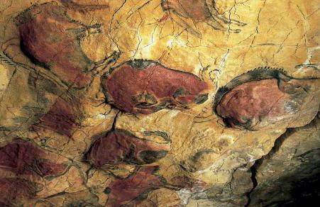 Casuca Queveda - Foto 36