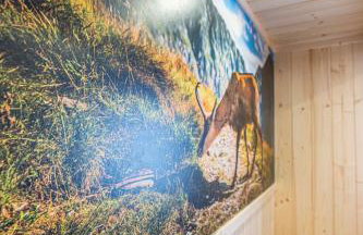 Domki na Wiyrchu - Foto 7