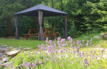 Apartamenty u Sikory - Foto 53