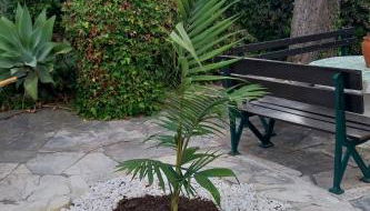 Villa Casa das Palmeiras - Foto 3, Garden