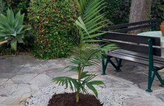 Villa Casa das Palmeiras - Foto 3