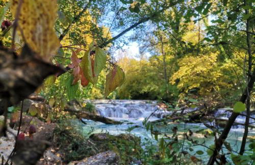Fattoria di Mugnano - Foto 10