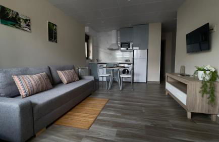 Lapaserina B - Foto 3