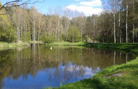 Apartament Borowiacki - Foto 9