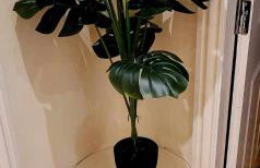 Apartment 4 - striking, 2 bedroom luxury apartment - close to town, mainline rail & theatre - Photo 7