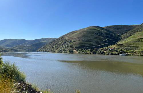 PH in Alto Douro Vinhateiro - Foto 36