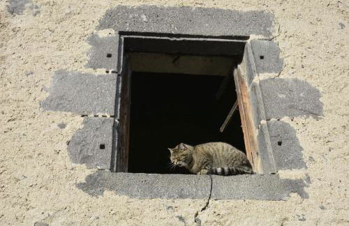 La Roche Pérégrine - Photo 26