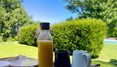 Bosque da Harmonia - Photo 5