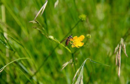 Palazzo Minelli - Foto 69