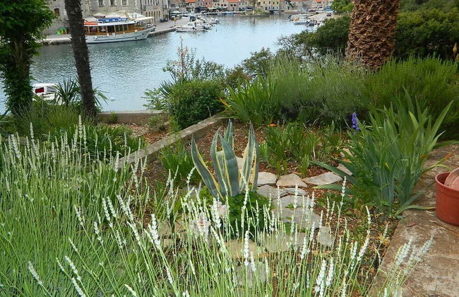 Apartments and Rooms Darinka - Foto 38