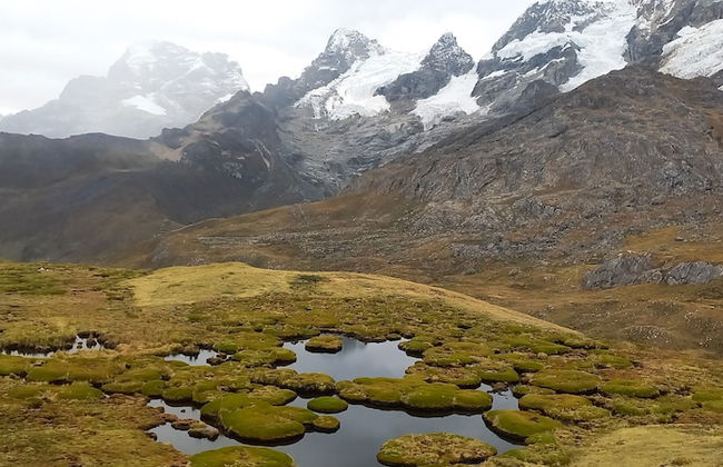 Lake 69 lodge - Foto 21