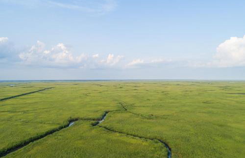 Lovely Coastal Home By Delaware Bay Walk to Beach - Foto 44