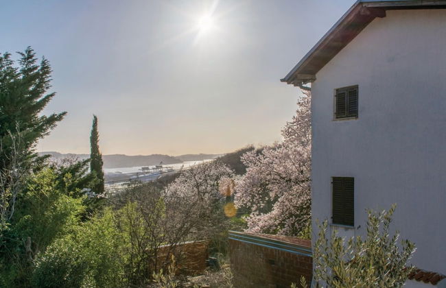 House In The Vineyards - Foto 26