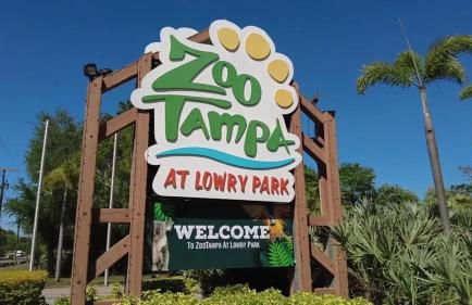 Tropical Casita in Tampa near airport and Raymond James stadium - Foto 32