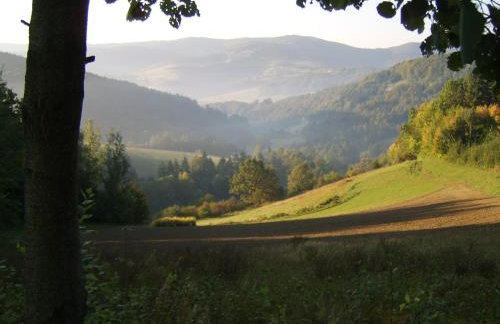 Agroturystyka Millerówka - Photo 14