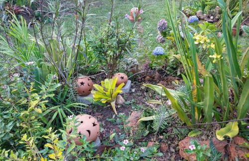 Diamantina, Curralinho Extração - Foto 60