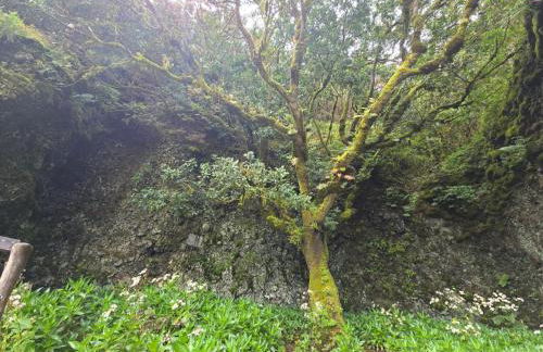 FINCA LA JORADITA - Foto 25