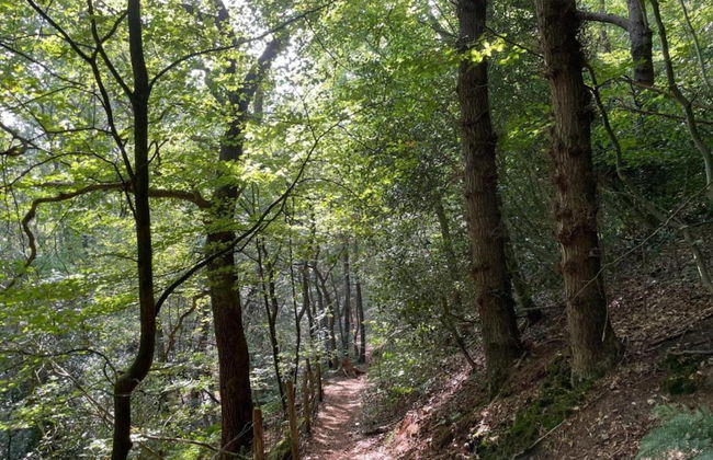 Holiday Home in Schoorl Near Sandy Beaches - Foto 30