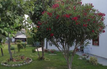 Casa MI-RE-LA - Foto 5