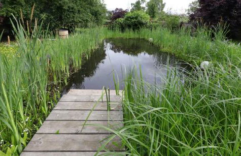 Ferienwohnung am Schwimmteich - Photo 8