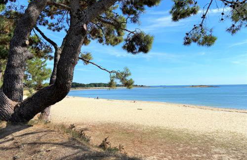 MOUETTES 4 - Balcon Vue Mer, Wifi - D190 - Foto 18