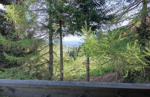 Chatka na Przełęczy - Foto 21