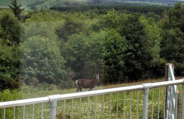 Stapehead Farm - Foto 16