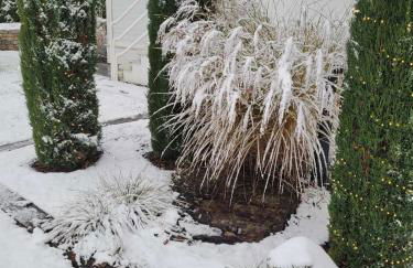 Tauberperle - Exklusives Ferienapartment - Foto 14