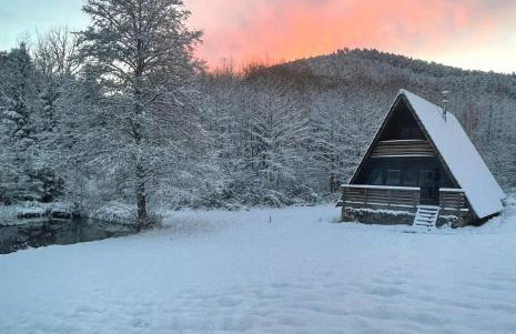 Chalet atypique en A lArmorique en pleine nature - Foto 1