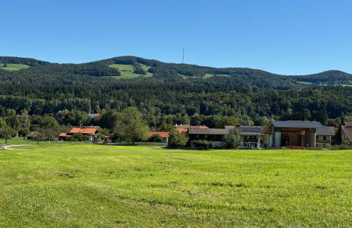 Haus Vogl Anger - Ferienwohnungen mit privater Sauna und beheizten Salzwasser Pool in Panoramalage und Nähe zu Salzburg und Berchtesgaden - Foto 73