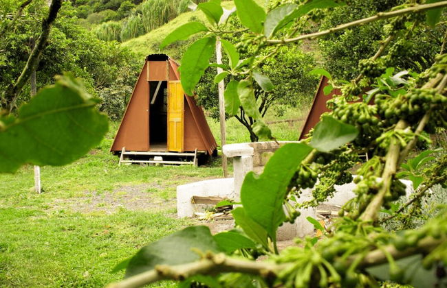 Natural Garden Glamping - Foto 6