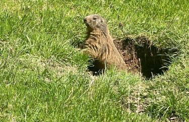 Apartment "Klein aber fein" - Foto 35