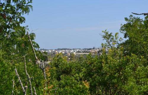 Casa Margherita - typical salento house - Foto 47