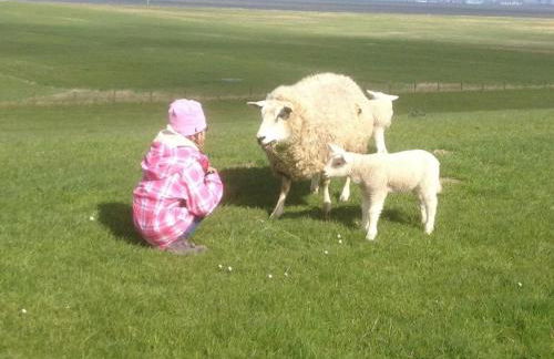 Grand Reverend Deichstern - Foto 22