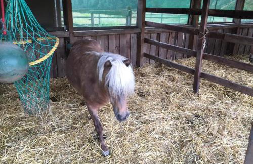 NEU! Moderne FeWo in Bönen - Foto 15