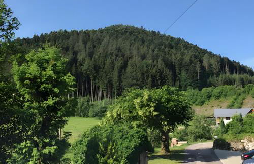 Waldbauernhof - Foto 32