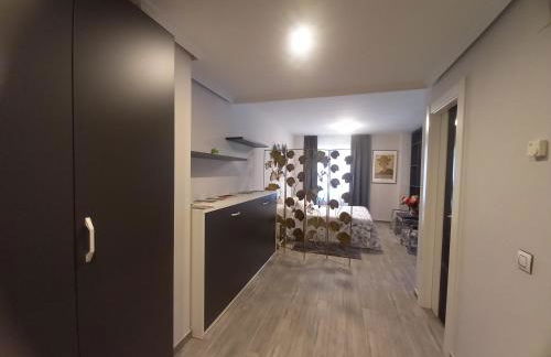 Loft Carrión - Foto 5