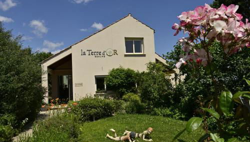 La Terre d'Or - Foto 2