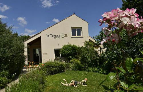 La Terre d'Or - Foto 2